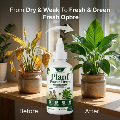 Plant Power Drops – Liquid Fertilizer For Plants 💧🌿